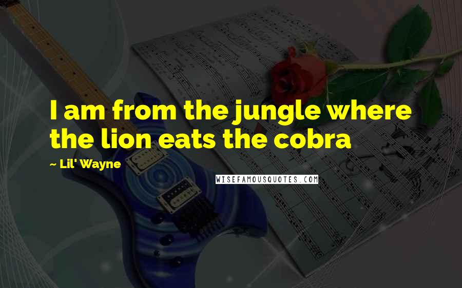 Lil' Wayne Quotes: I am from the jungle where the lion eats the cobra