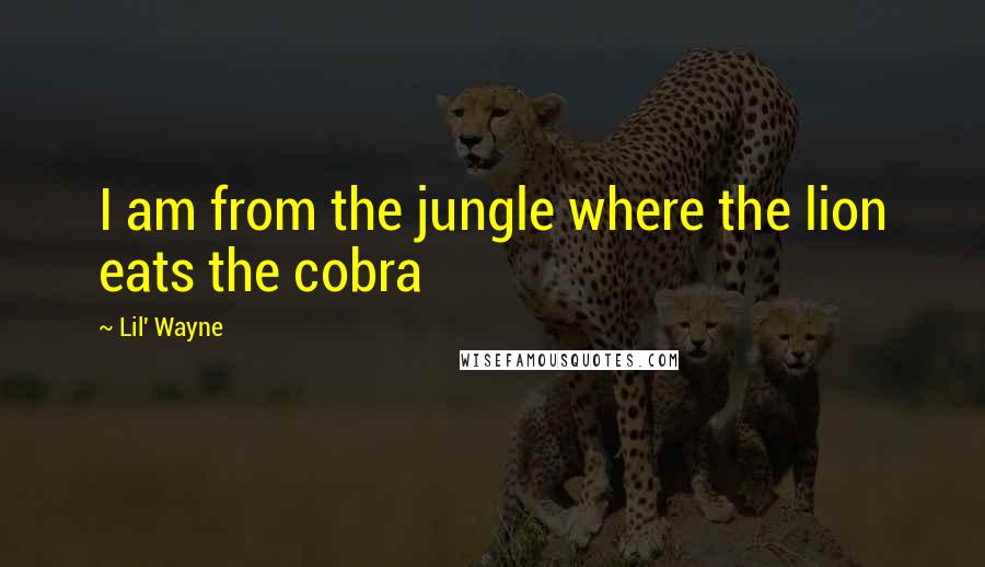 Lil' Wayne Quotes: I am from the jungle where the lion eats the cobra