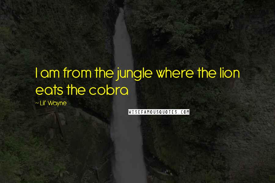 Lil' Wayne Quotes: I am from the jungle where the lion eats the cobra