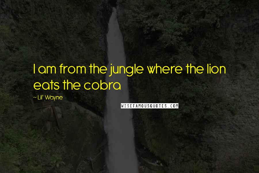 Lil' Wayne Quotes: I am from the jungle where the lion eats the cobra