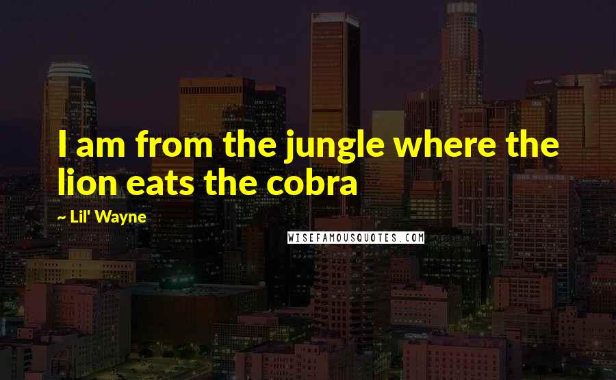 Lil' Wayne Quotes: I am from the jungle where the lion eats the cobra