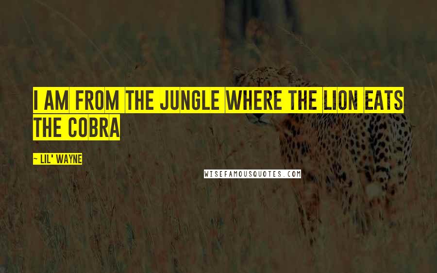 Lil' Wayne Quotes: I am from the jungle where the lion eats the cobra