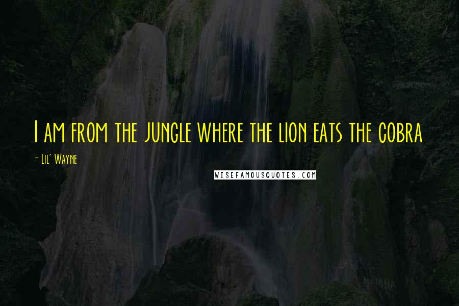 Lil' Wayne Quotes: I am from the jungle where the lion eats the cobra