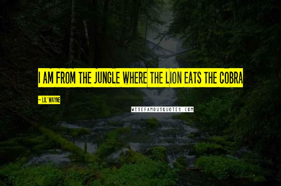 Lil' Wayne Quotes: I am from the jungle where the lion eats the cobra