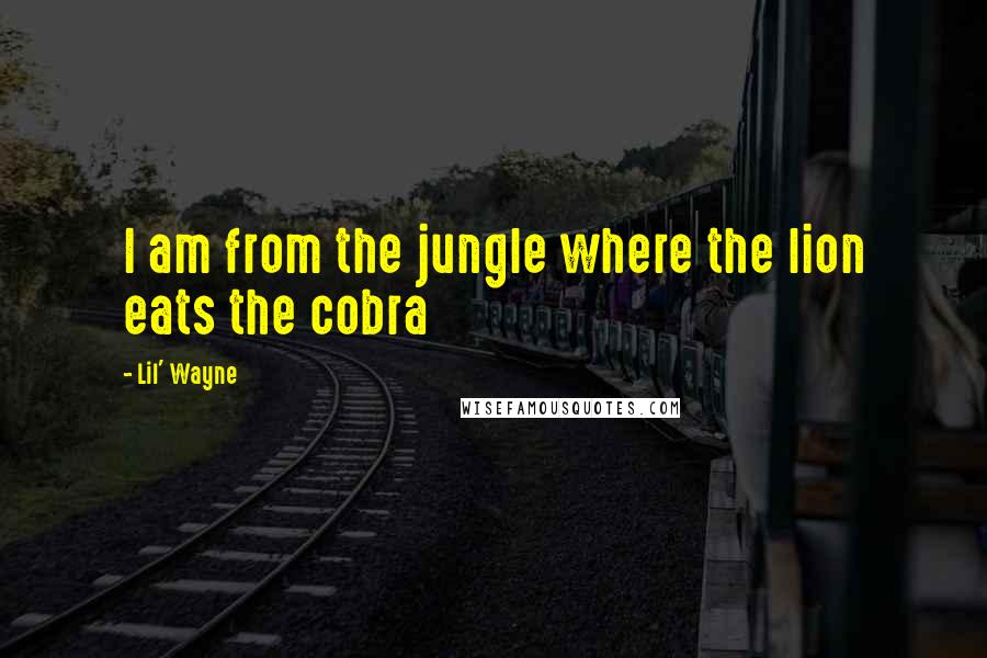 Lil' Wayne Quotes: I am from the jungle where the lion eats the cobra