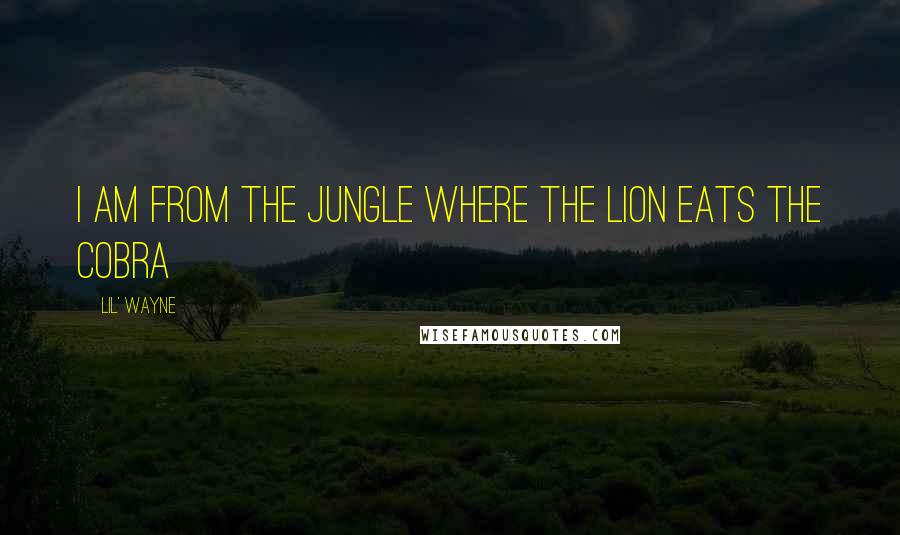 Lil' Wayne Quotes: I am from the jungle where the lion eats the cobra
