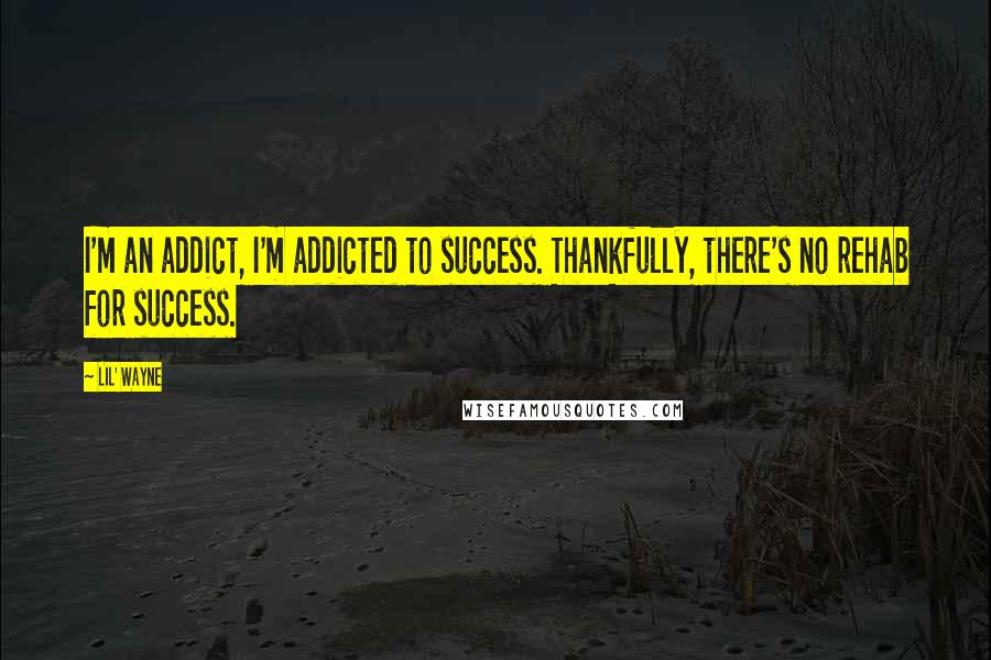 Lil' Wayne Quotes: I'm an addict, I'm addicted to success. Thankfully, there's no rehab for success.