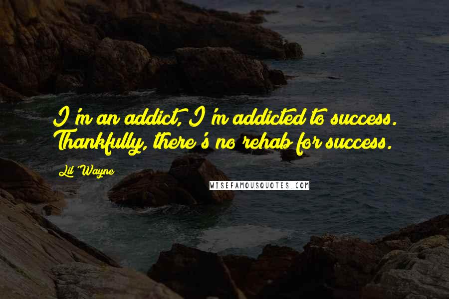 Lil' Wayne Quotes: I'm an addict, I'm addicted to success. Thankfully, there's no rehab for success.