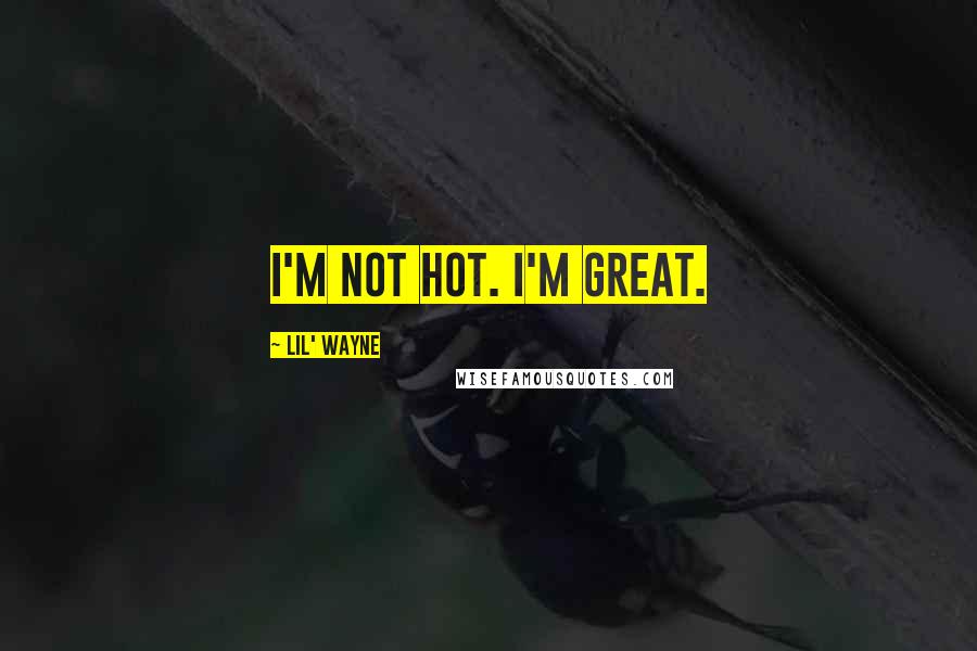 Lil' Wayne Quotes: I'm not hot. I'm great.