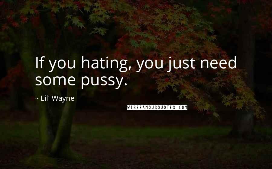 Lil' Wayne Quotes: If you hating, you just need some pussy.