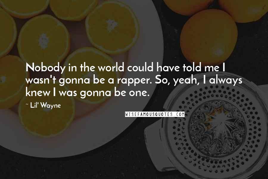 Lil' Wayne Quotes: Nobody in the world could have told me I wasn't gonna be a rapper. So, yeah, I always knew I was gonna be one.