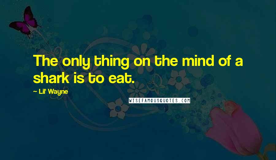 Lil' Wayne Quotes: The only thing on the mind of a shark is to eat.