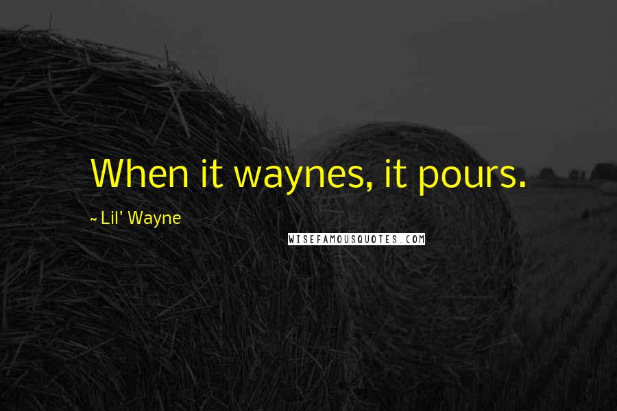 Lil' Wayne Quotes: When it waynes, it pours.