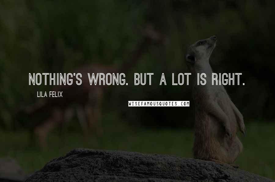 Lila Felix Quotes: Nothing's wrong. But a lot is right.