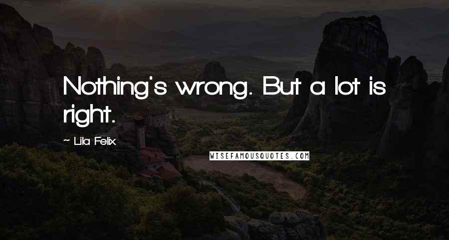 Lila Felix Quotes: Nothing's wrong. But a lot is right.