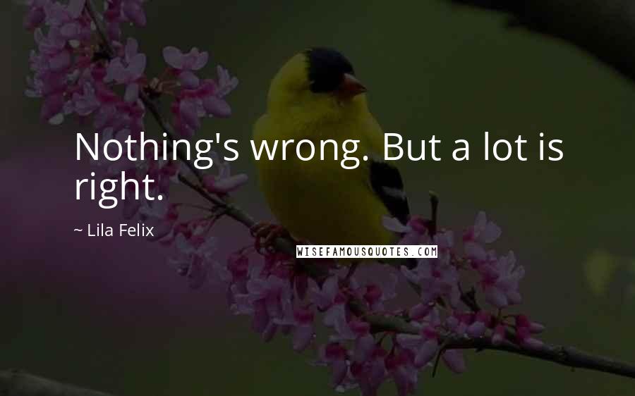 Lila Felix Quotes: Nothing's wrong. But a lot is right.