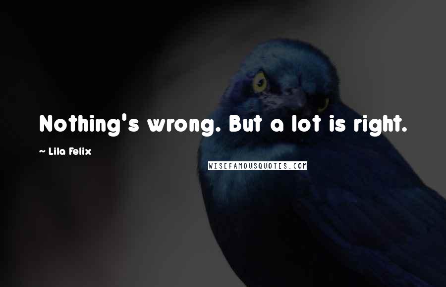 Lila Felix Quotes: Nothing's wrong. But a lot is right.