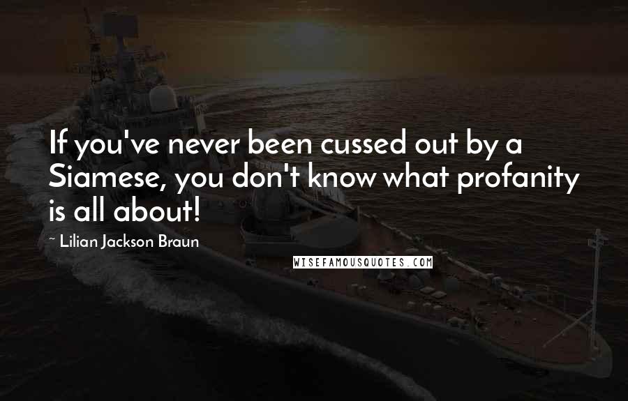 Lilian Jackson Braun Quotes: If you've never been cussed out by a Siamese, you don't know what profanity is all about!