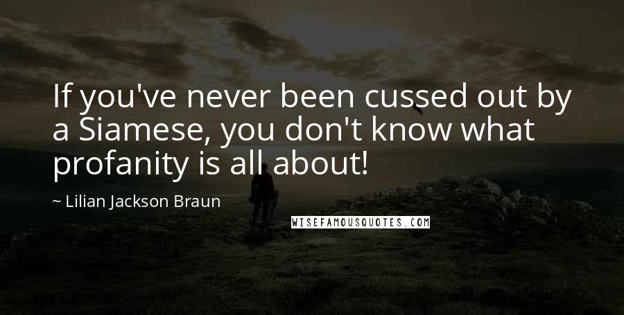 Lilian Jackson Braun Quotes: If you've never been cussed out by a Siamese, you don't know what profanity is all about!