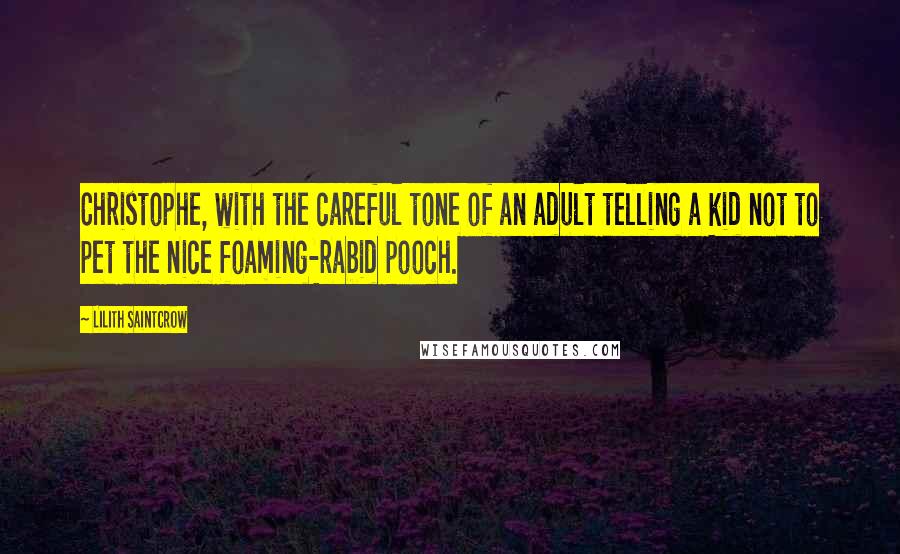 Lilith Saintcrow Quotes: Christophe, with the careful tone of an adult telling a kid not to pet the nice foaming-rabid pooch.