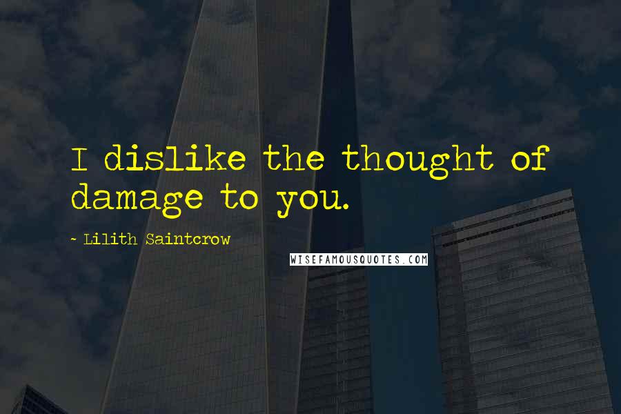 Lilith Saintcrow Quotes: I dislike the thought of damage to you.