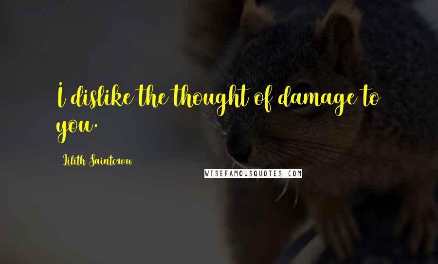 Lilith Saintcrow Quotes: I dislike the thought of damage to you.