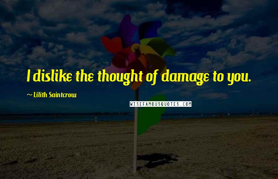 Lilith Saintcrow Quotes: I dislike the thought of damage to you.