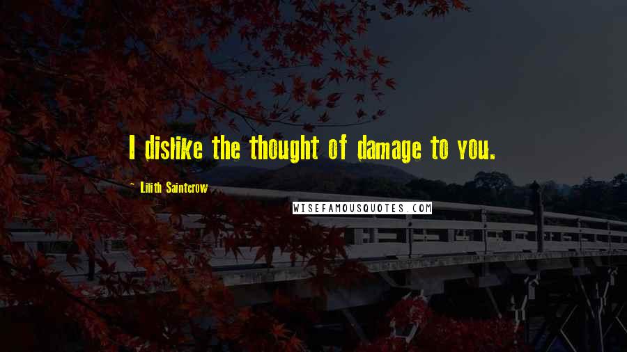 Lilith Saintcrow Quotes: I dislike the thought of damage to you.