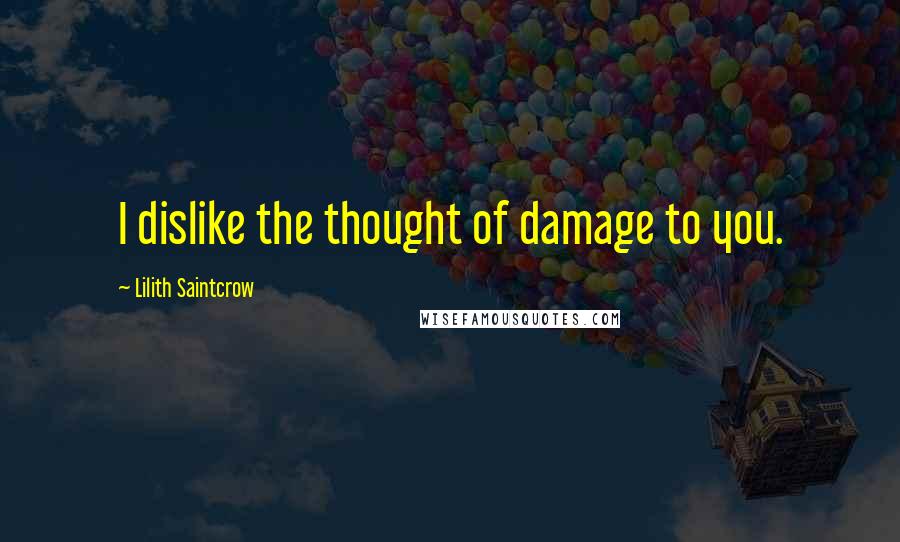 Lilith Saintcrow Quotes: I dislike the thought of damage to you.