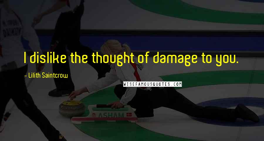 Lilith Saintcrow Quotes: I dislike the thought of damage to you.