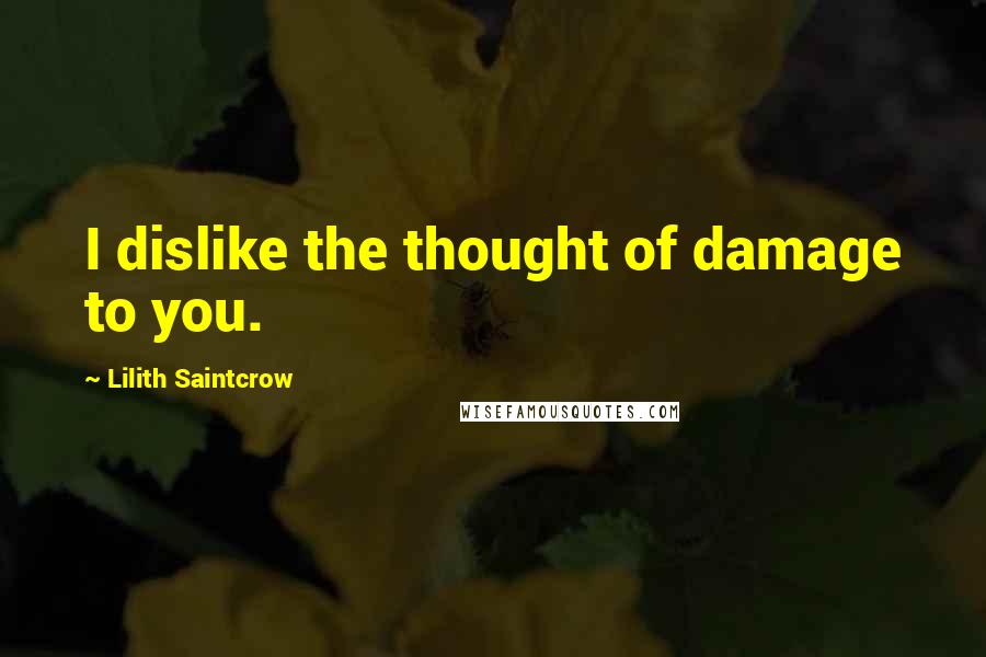 Lilith Saintcrow Quotes: I dislike the thought of damage to you.