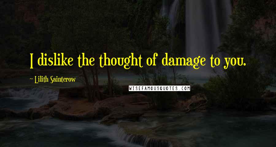 Lilith Saintcrow Quotes: I dislike the thought of damage to you.