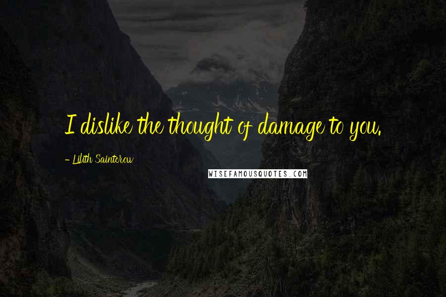 Lilith Saintcrow Quotes: I dislike the thought of damage to you.