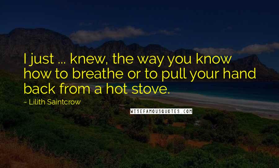 Lilith Saintcrow Quotes: I just ... knew, the way you know how to breathe or to pull your hand back from a hot stove.