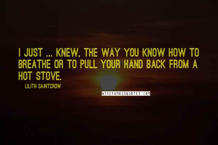 Lilith Saintcrow Quotes: I just ... knew, the way you know how to breathe or to pull your hand back from a hot stove.