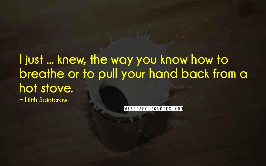 Lilith Saintcrow Quotes: I just ... knew, the way you know how to breathe or to pull your hand back from a hot stove.