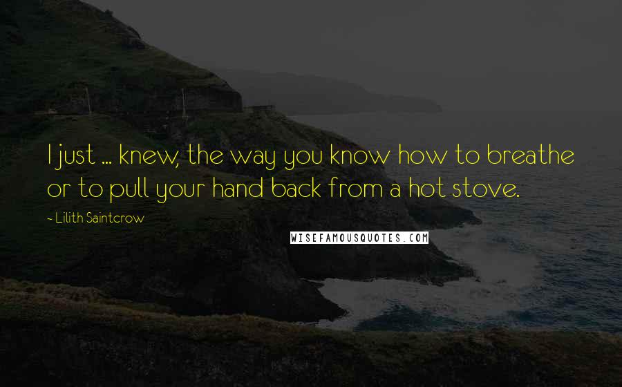 Lilith Saintcrow Quotes: I just ... knew, the way you know how to breathe or to pull your hand back from a hot stove.