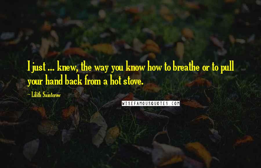 Lilith Saintcrow Quotes: I just ... knew, the way you know how to breathe or to pull your hand back from a hot stove.