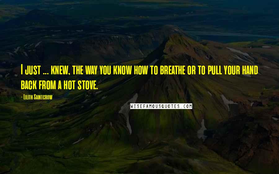 Lilith Saintcrow Quotes: I just ... knew, the way you know how to breathe or to pull your hand back from a hot stove.