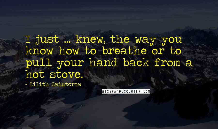 Lilith Saintcrow Quotes: I just ... knew, the way you know how to breathe or to pull your hand back from a hot stove.