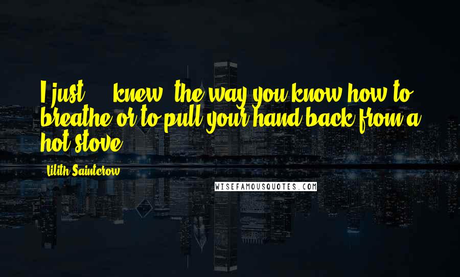 Lilith Saintcrow Quotes: I just ... knew, the way you know how to breathe or to pull your hand back from a hot stove.