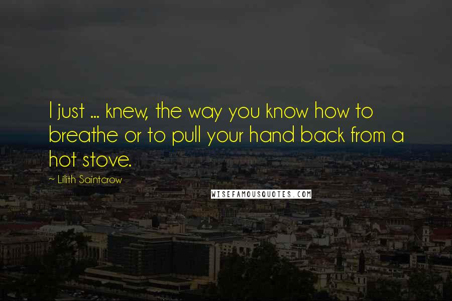 Lilith Saintcrow Quotes: I just ... knew, the way you know how to breathe or to pull your hand back from a hot stove.