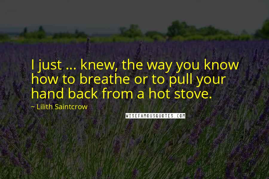 Lilith Saintcrow Quotes: I just ... knew, the way you know how to breathe or to pull your hand back from a hot stove.