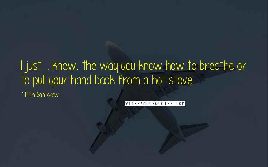 Lilith Saintcrow Quotes: I just ... knew, the way you know how to breathe or to pull your hand back from a hot stove.