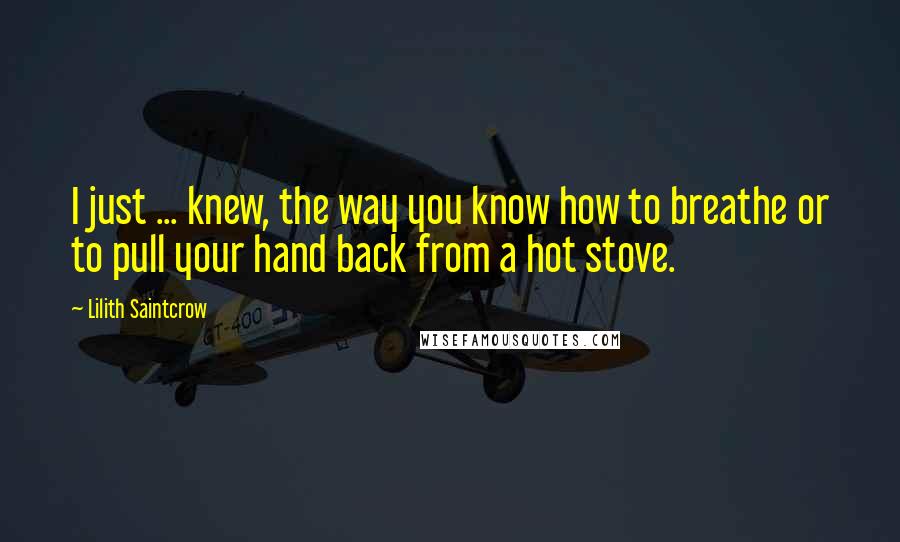 Lilith Saintcrow Quotes: I just ... knew, the way you know how to breathe or to pull your hand back from a hot stove.