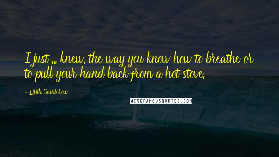 Lilith Saintcrow Quotes: I just ... knew, the way you know how to breathe or to pull your hand back from a hot stove.