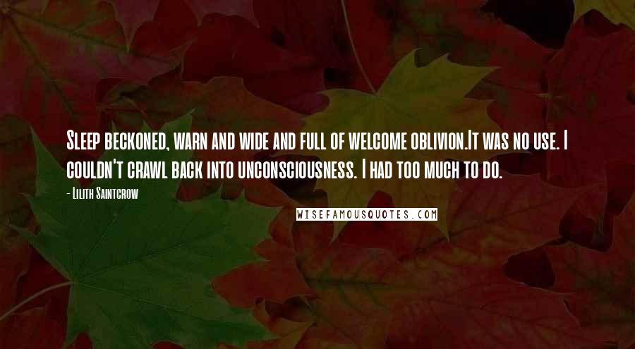 Lilith Saintcrow Quotes: Sleep beckoned, warn and wide and full of welcome oblivion.It was no use. I couldn't crawl back into unconsciousness. I had too much to do.