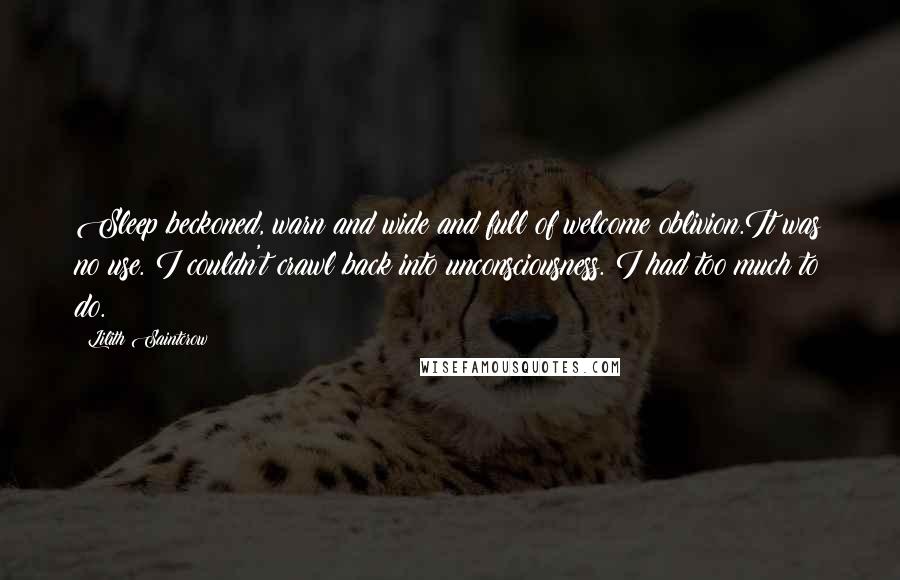 Lilith Saintcrow Quotes: Sleep beckoned, warn and wide and full of welcome oblivion.It was no use. I couldn't crawl back into unconsciousness. I had too much to do.
