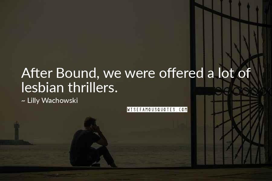 Lilly Wachowski Quotes: After Bound, we were offered a lot of lesbian thrillers.