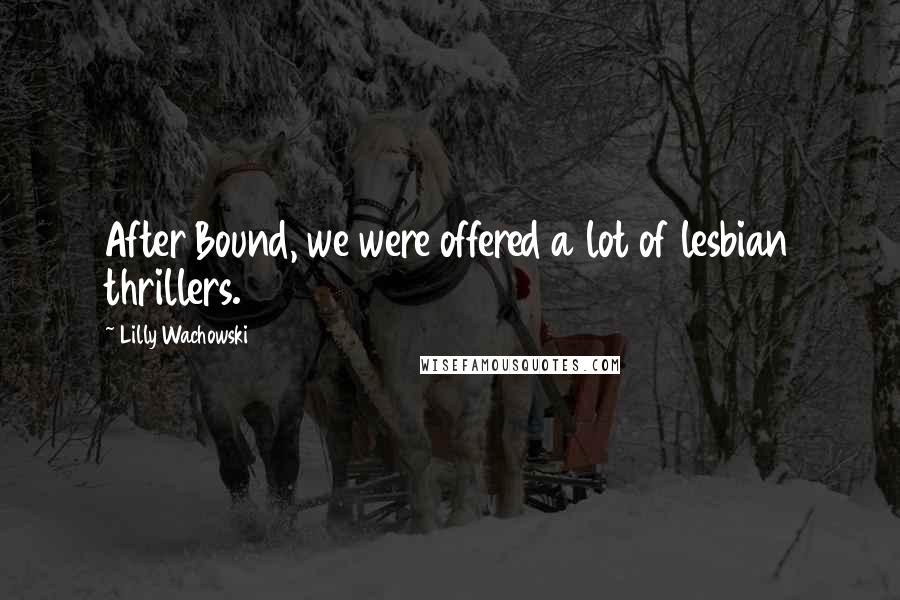 Lilly Wachowski Quotes: After Bound, we were offered a lot of lesbian thrillers.